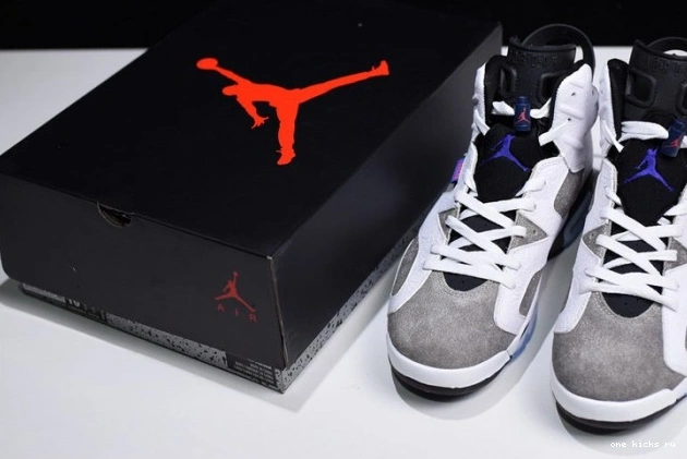 Rep 6 Air CI3125-100 Jordan Grey Flint 0620